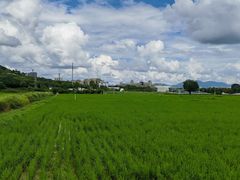 -风云岭森林公园