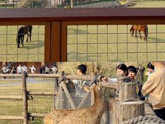 -祥源·阜阳生态乐园