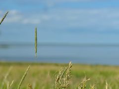 -呼和诺尔旅游景区