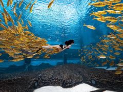 -三亚海昌梦幻海洋不夜城