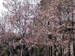 -堤角公园