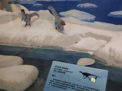 -陕西自然博物馆