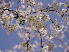 -龙美术馆(西岸馆)