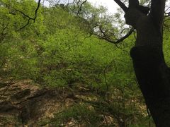 -北京上方山国家森林公园