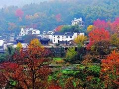 -塔川景区