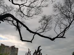 -四海公园(南山区)