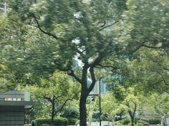 -中国光大银行(上海分行)