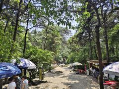 -燕塞湖鸟语林景区
