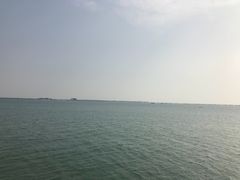 -北海金海湾红树林生态旅游区