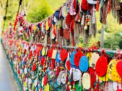 -西双版纳原始森林公园