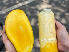 -新加坡斯味洛·鲜奶茶(石牌东店)