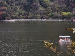 -秦岭终南山世界地质公园翠华山景区