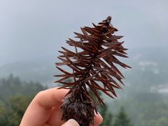 -井冈山革命烈士陵园
