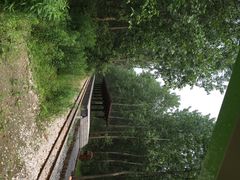 滨湖湿地公园-合肥滨湖国家森林公园