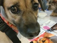 -远洋未来广场(育慧北路店)