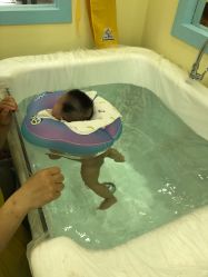 -鱼乐贝贝婴幼儿水育馆(高桥红坊店)
