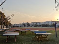 -南京东山外国语学校分校江宁区岔路学校