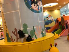 -戊辰亲子游泳俱乐部