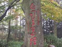 -庐山风景区花径公园