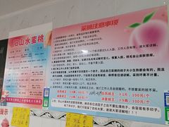 -老袁家蜜桃农场·阳山水蜜桃