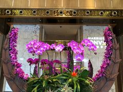 -广州粤海喜来登酒店