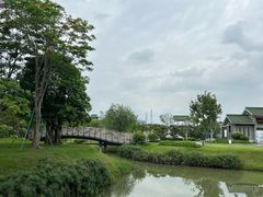 -王借岗森林公园