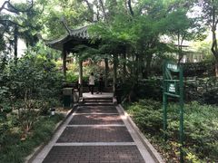 -华山儿童公园