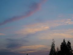 -环城公园-琥珀潭