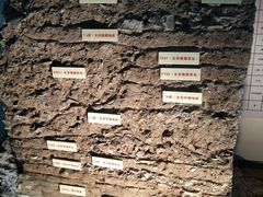 -南越王博物院(王宫展区)
