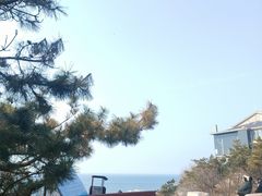 -养马岛旅游度假区
