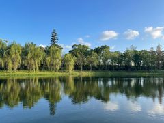 -养云安缦吧THE BAR