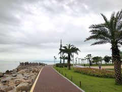 -野狸岛
