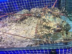 -青蓬蒸汽海鲜·深圳老字号·团建聚会(壹方城店)