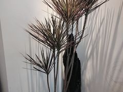 -汇点煌餐厅