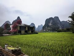 -明仕田园