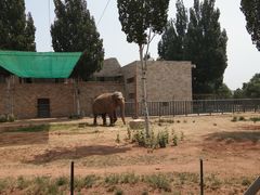 -石家庄市动物园