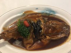 红烧河豚-肆月河豚·新淮扬(金融街店)