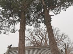 -龙泉寺