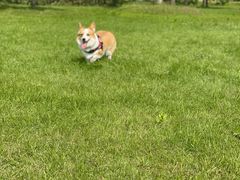 -梁子湖东篱老屋生态庄园
