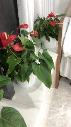 -悟空祛痘·诺奖技术专业店