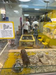 -神奇动物撸宠馆·羊驼·小浣熊·异宠(豫园店)