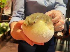-肆月河豚·淮扬菜·湘菜(华天店)