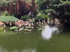 -九龙公园
