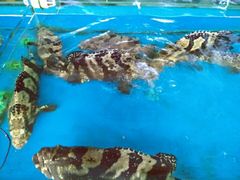 -清水湾3号(东方小周海鲜店)