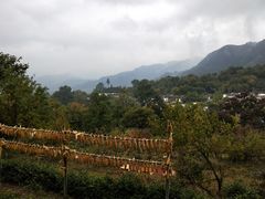 -塔川景区