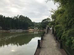 -三水森林公园