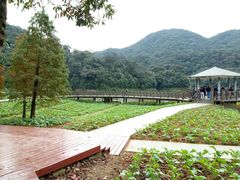 -广州市石门国家森林公园