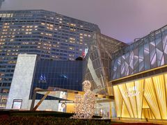 -陆家嘴空中步行连廊