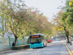 -小南山公园