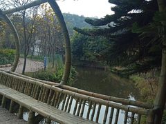 -丹樱生态园